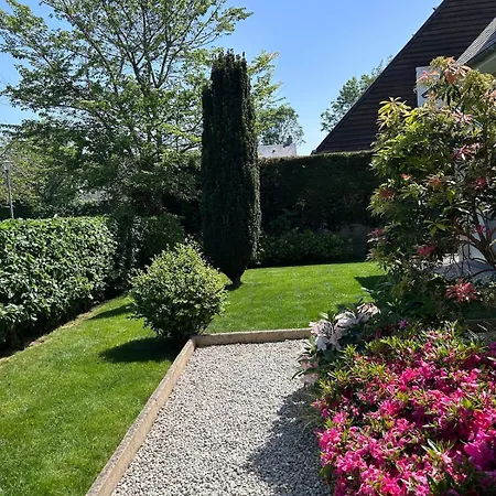 Tevenn Bras Sotteville-sur-Mer